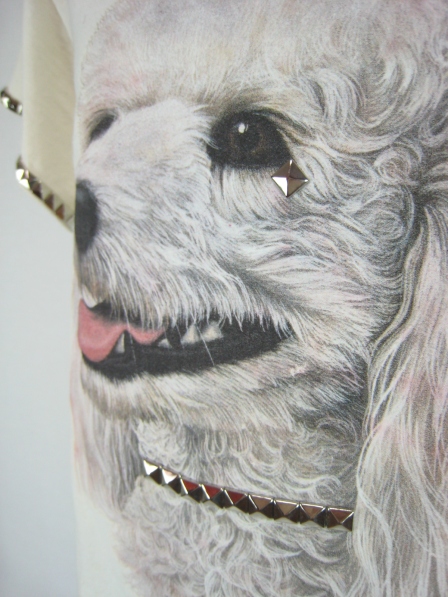 Punk Rock Poodle Closeup